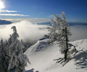 Puzzle Χιονισμένα βουνά στο Poiana Brasov, Ρουμανία